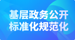 基层政务公开标准化规范化建设