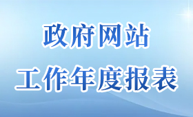 政府网站工作年度报表