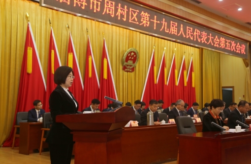 区十九届人大五次会议隆重开幕